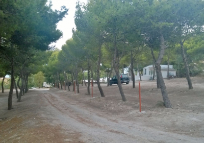 Campeggio Bungalow Camping La Pineta Village